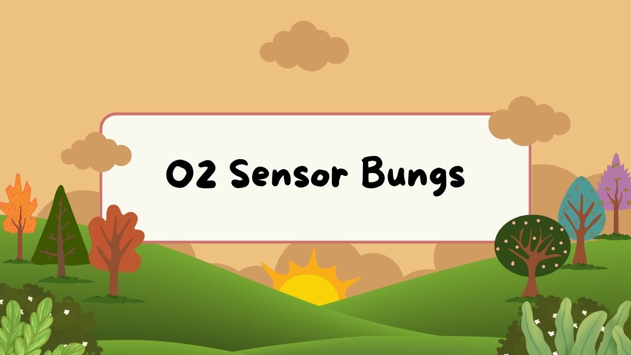 O2 Sensor