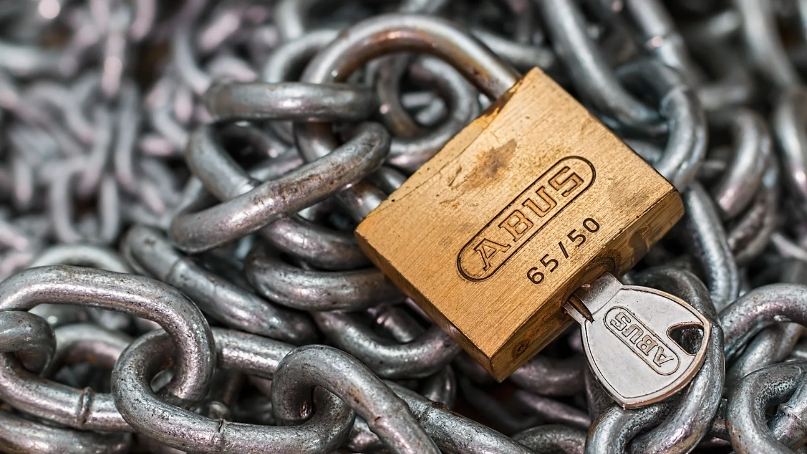 Cursor alternatives data privacy comparison